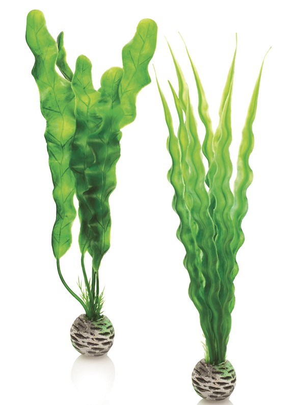 biOrb Easy Plant x 2 Medium green
